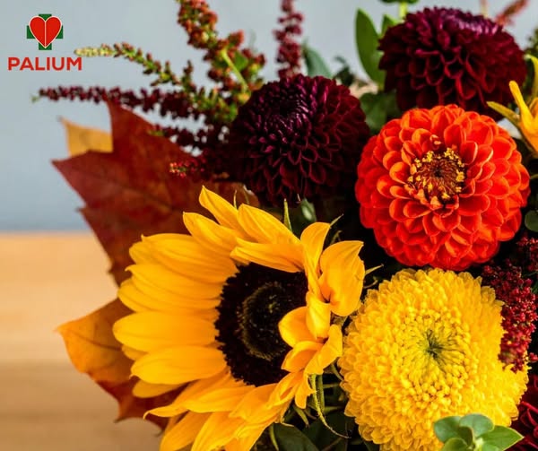 Życzenia z okazji Dnia Edukacji Narodowej!