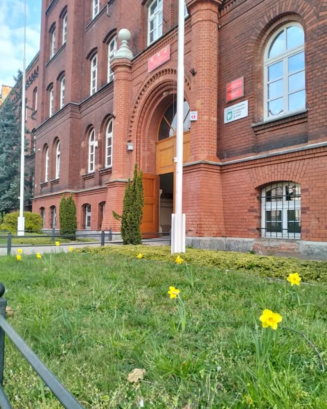 Żonkile zakwitły również przy Zespół Szkół Nr 1 w Lubinie. To kolejny piękny znak, że dobro, pamięć i nadzieja mają swoje miejsce także tam. 