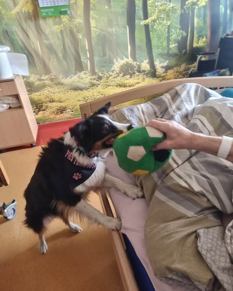 Wczoraj w Hospicjum i ZPO ponownie zagościła radość na czterech łapach. 