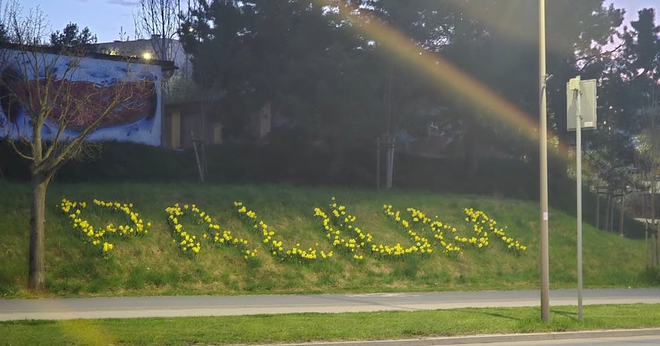 W Lubinie jest takie wyjątkowe miejsce, które co roku znów przyciąga wzrok i budzi piękne skojarzenia. 